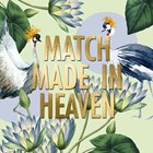 CLA match made in heaven
